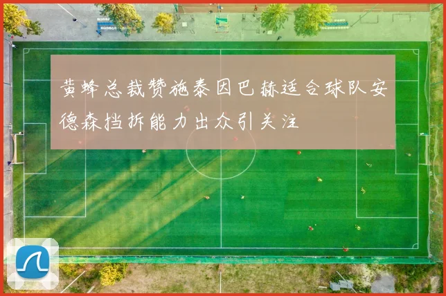 黄蜂总裁赞施泰因巴赫适合球队安德森挡拆能力出众引关注